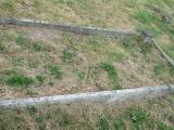 image of grave number 582148
